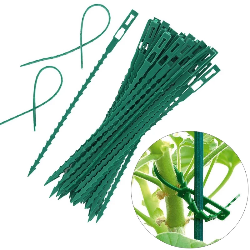 50 / 100 Pieces Of Reusable Plastic Plant Support Clip Plant Hanging Vine Fixed Rope Can Be Reused Cable Ties