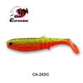 CA24