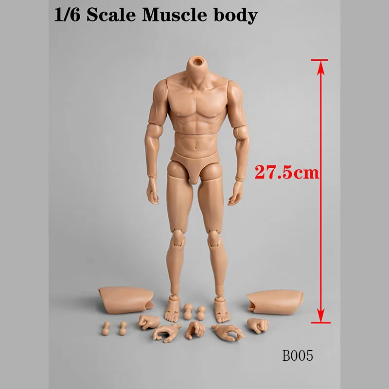 B005 1/6  Muscle body Male Narrow Shoulder Caucasian Man Body Accessory Model for 12'' Action Figure