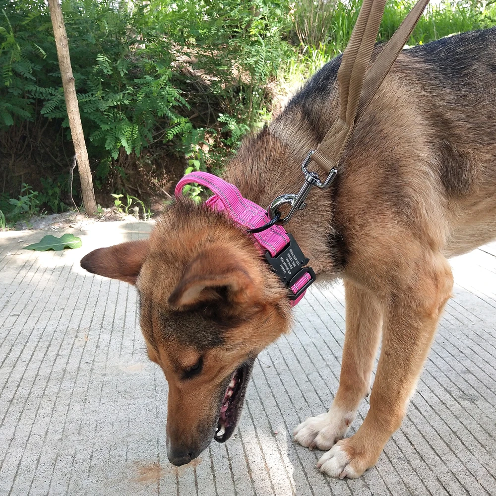 Collier tactique personnalisé en Nylon pour chien, accessoire militaire pour animaux de compagnie, avec poignée de contrôle rapide, pour la marche des grands chiens