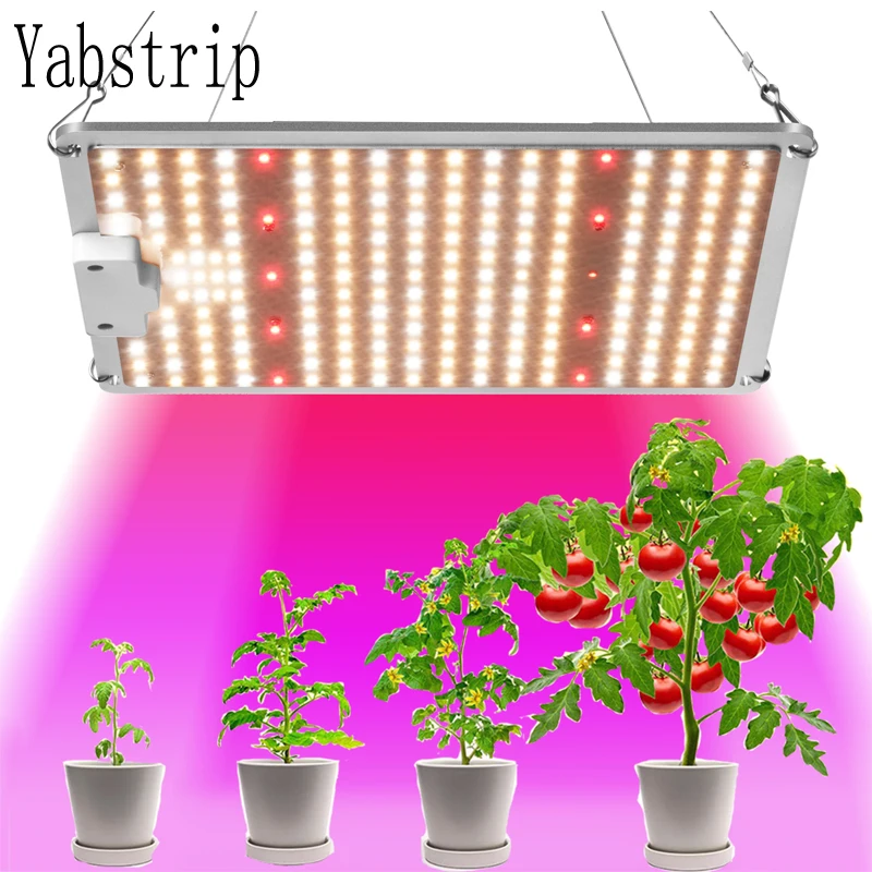 5 Year Warranty LED Grow Light LED Quantum Full Spectrum Phyto Lamp For Indoor Greenhouse  Flower Seedling Plant Growth Lighting