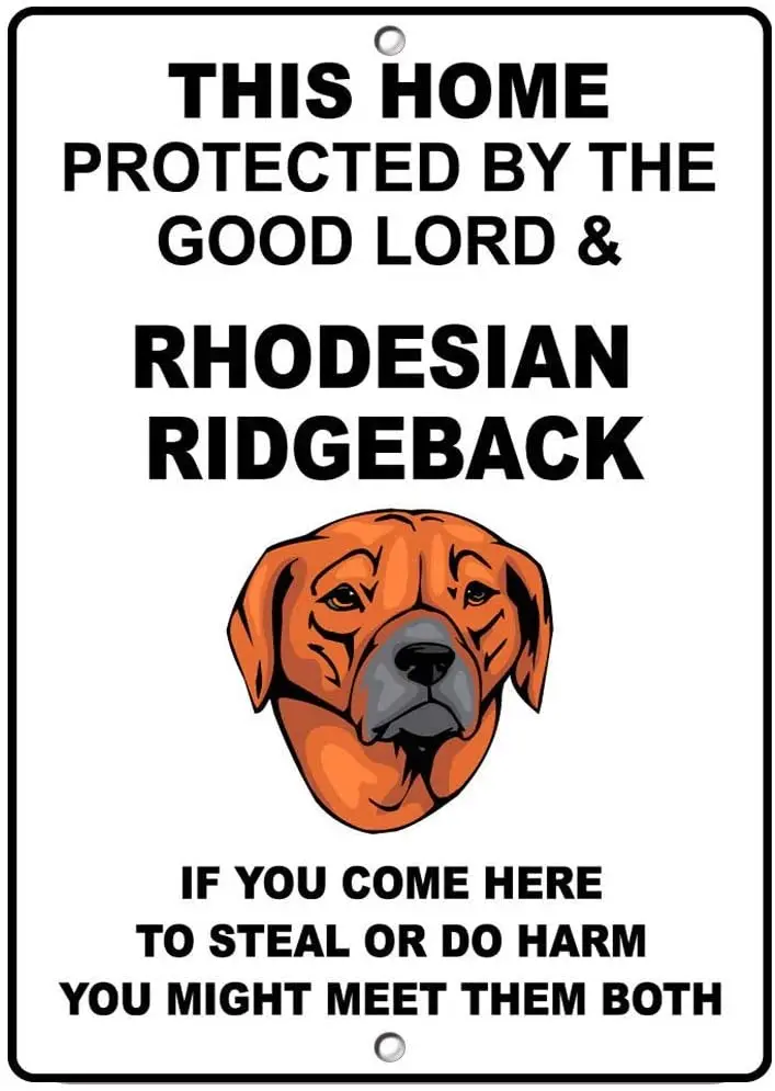 Quality Metal Tin Sign 12x8in,Rhodesian Ridgeback Dog Home Protected by Good Lord and,Aluminum Sign Novelty Outdoor Vintage