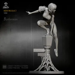 1/24 Resin Model Kits  Figure Self-assembled TD-2248