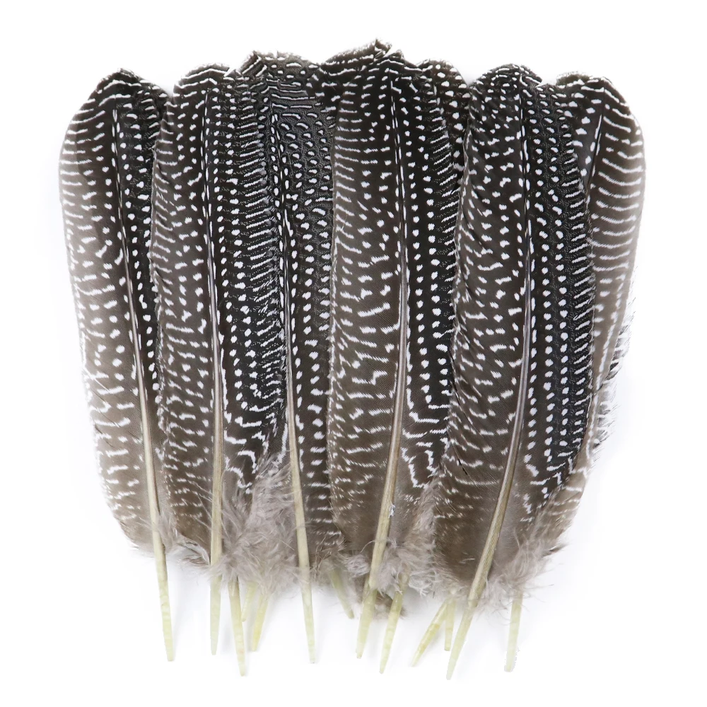 20-25cm Natural Pheasant Guinea Fowl Wing Feathers  Jewelry Accessories Party Decoration Goose for Craft Plume Wholesale 10PCS