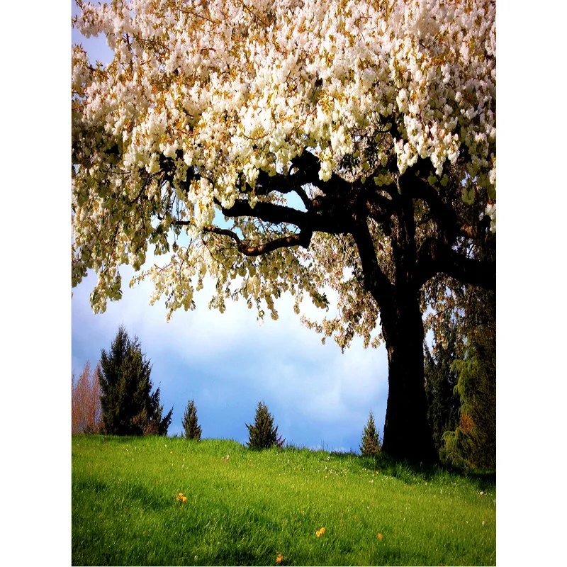 Natural Scenery Photography Background Forest Beach Landscape Travel Photo Backdrops Studio Props 21622 SLFJ-02