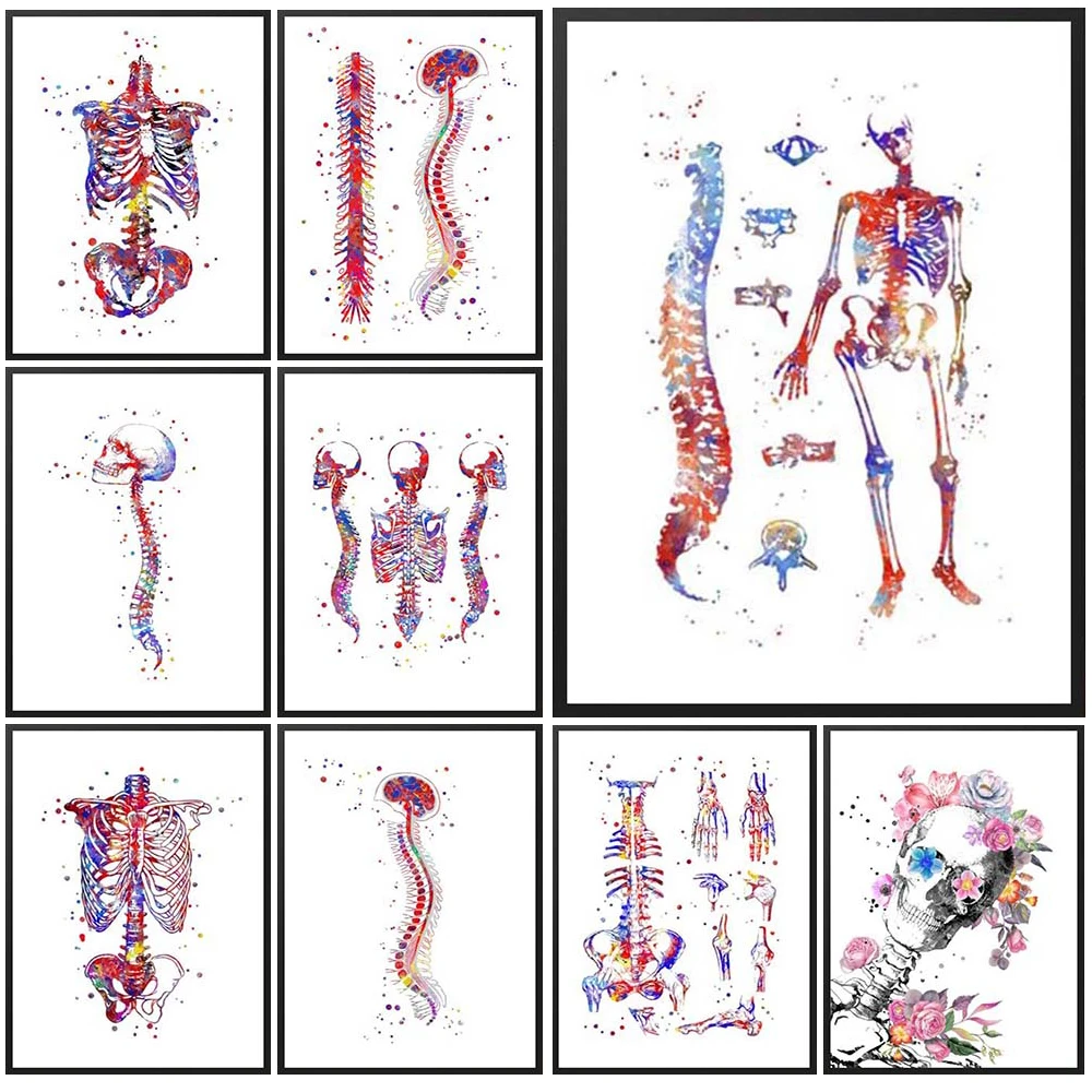 Body Anatomy Spine Scoliosis Nordic Poster Hospital Skeleton Wall Art Canvas Painting Wall Pictures For Living Room Unframed