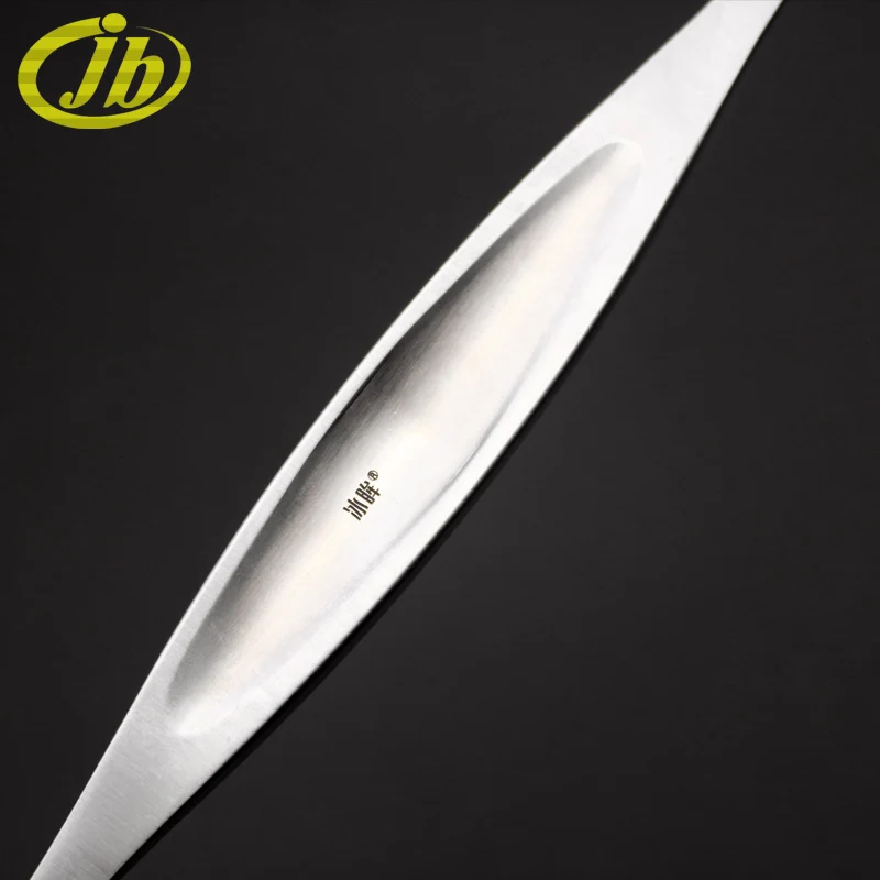 Bone knife double-end 25cm stainless steel surgical operating instrument medical stripper sharp