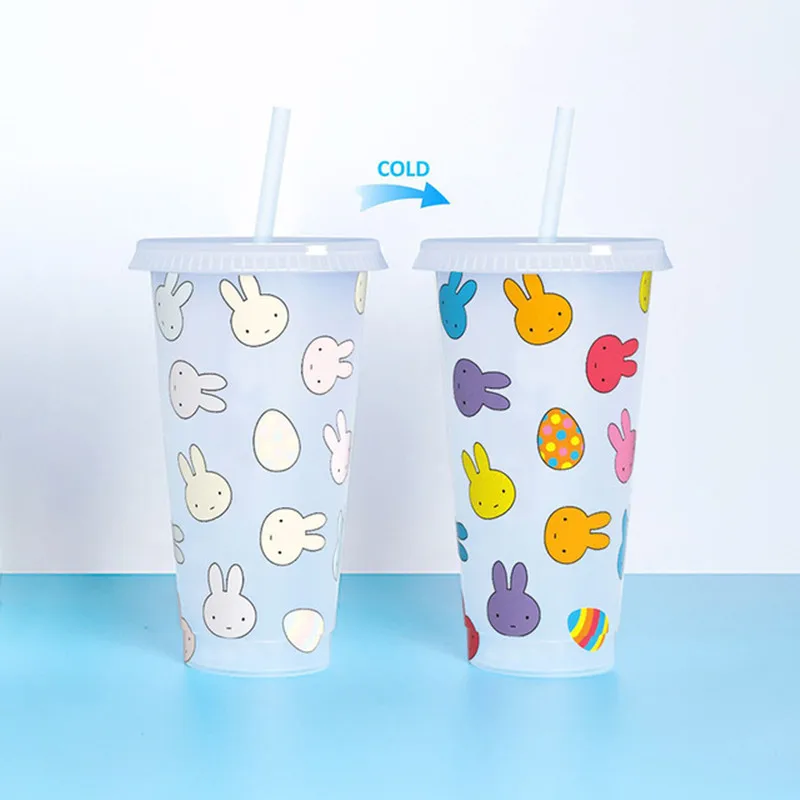 Plastic Coffee Tumbler Cup with Straw, Reusable Drinkware, Coffee Shop, Cafe Gift, 700ml, 710ml, 22oz, 24oz