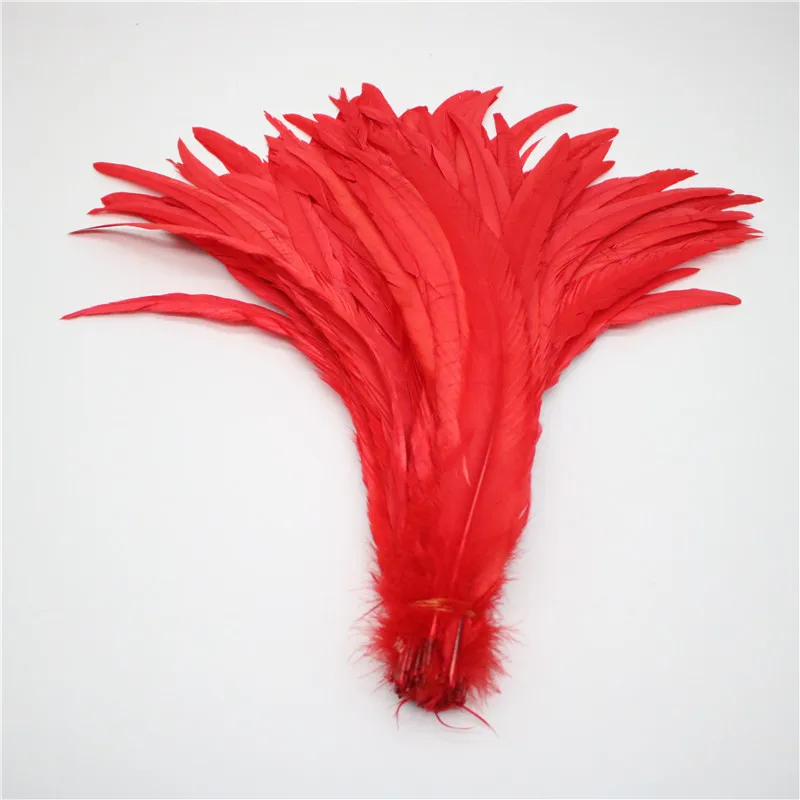 Plumes de queue de coq pour l'artisanat, 25-40cm, 10-16 pouces, maison de carnaval pour séparés eurs, porcelaine de bricolage, 50 pièces par lot