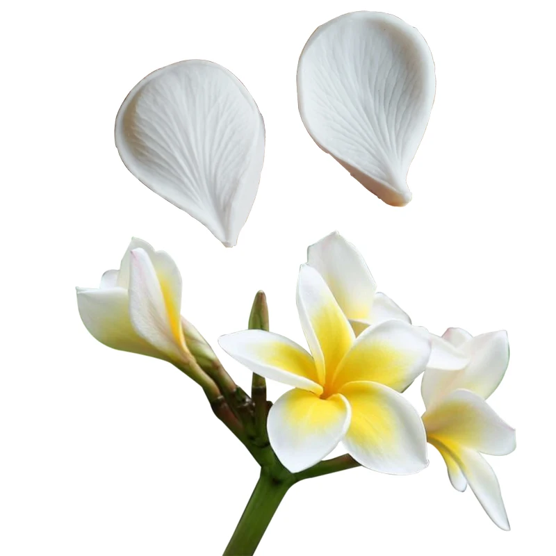 Plumeria Veiner silikonowe formy papier wodny kremówka Gumpaste glina cukrowa kwiat ciasto dekorowanie formy DIY M2104