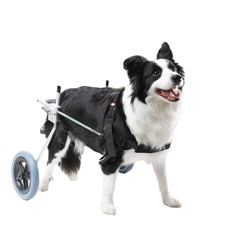 

Dog Wheelchair Rear Limb Big and Small Dogs Teddy Paralysis Elderly Cat Disabled Dog Scooter Pet Rear Leg Auxiliary Bracket