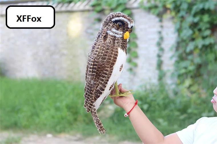 big creative real life owl model foam&feather brown owl bird gift about 40cm xf2622