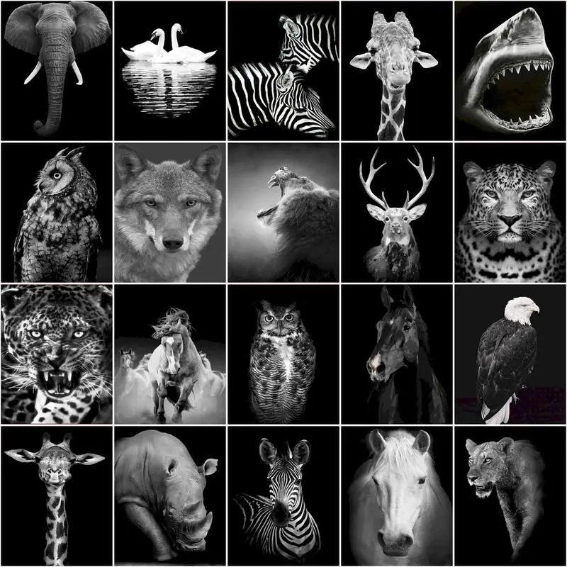 GATYZTORY Paint By Numbers For Adults Beginner Black And White Animal Handpainted Gift Canvas Kits DIY Pictures By Numbers Uniqu