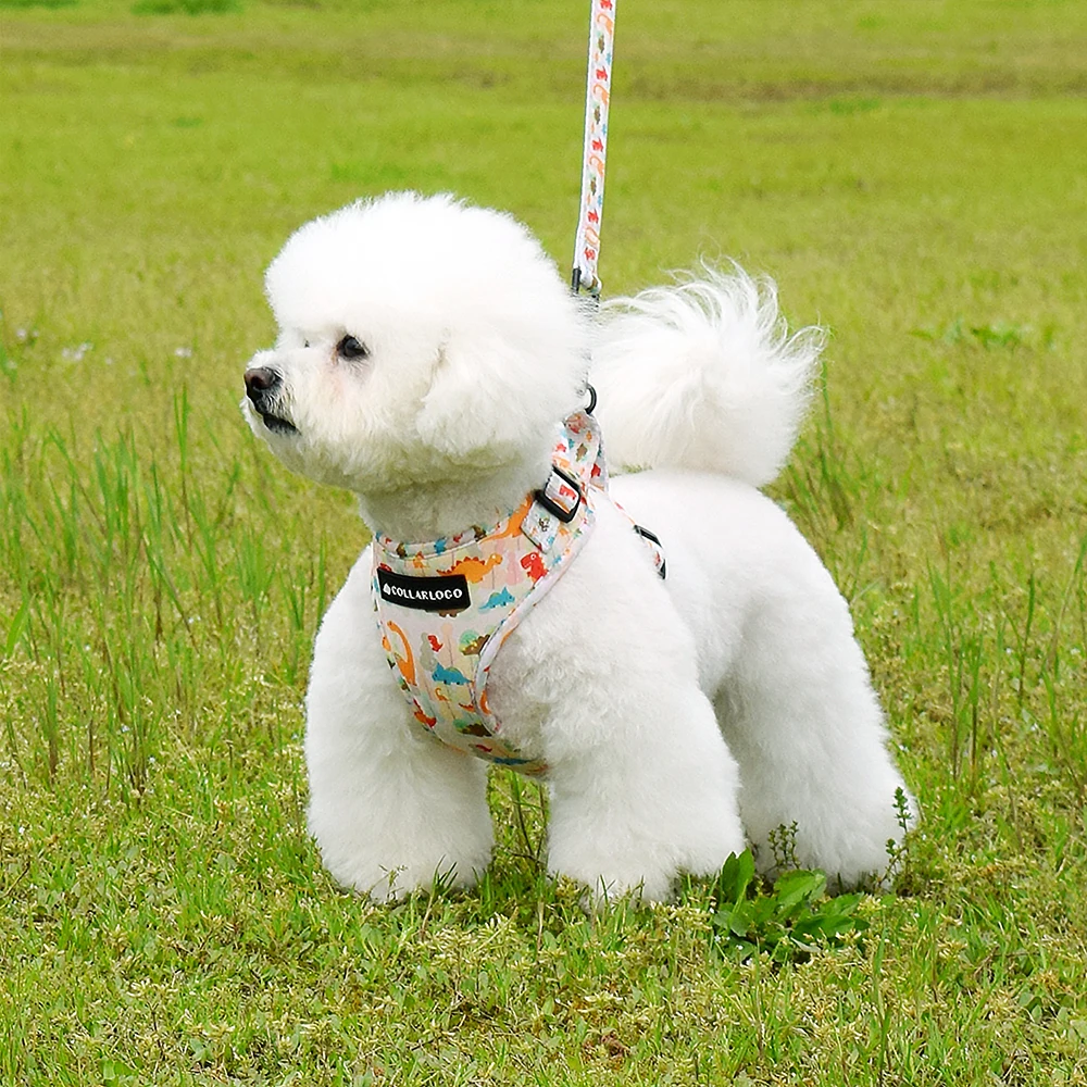 Adjustable Pet Dog Collar Durable Soft Cute Creative Colored Dinosaur Design Leash Neoprene Harness Poop Bag Dispenser