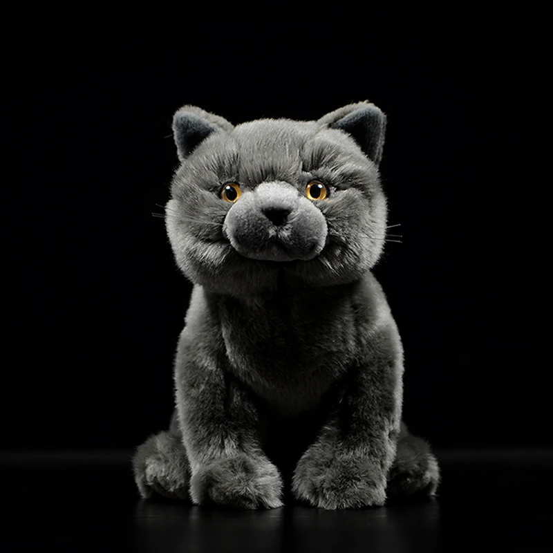 

Simulation Cute British Shorthair Cat Tabby Felinae Stuffed Soft Plush Toy Grey Kitten Real Life Animal For Child New Year Gift