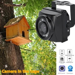 Small Outdoor Mini IR IP POE Cameras Night Vision IPC Wide Angle Audio Video Security Surveillance P2P Onvif Bird Cage 4K 8MP