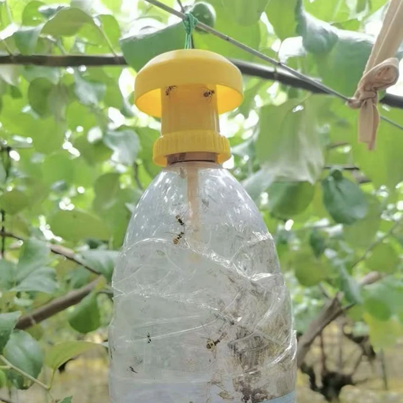 

Fruit Fly Trap Killer Yellow Drosophila Trap Flypaper Insect Pest Control For Home Farm Orchard Plastic