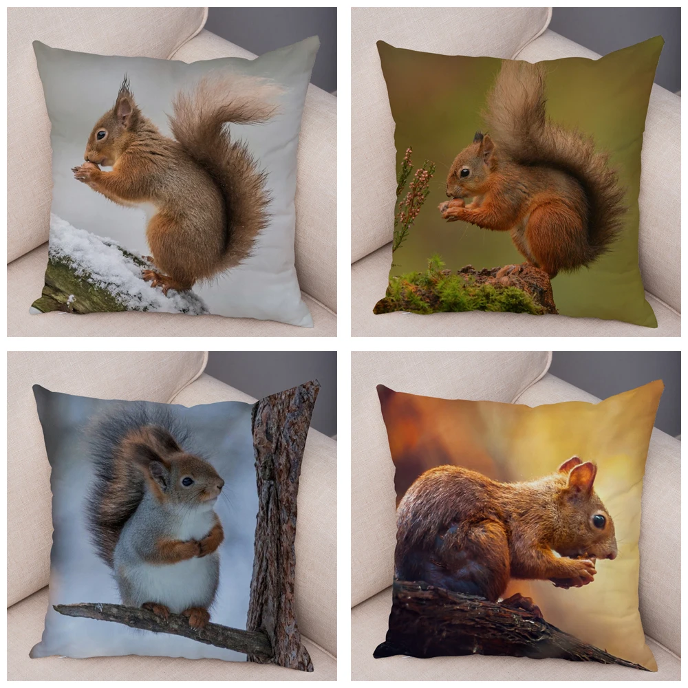 Cute Squirrel Cushion Cover Pillowcase Pillow Covers Home Decor Pet Animal Pillows case Super Soft Short Plush Pillows Covers