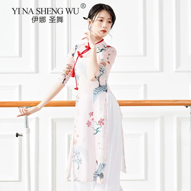 Chinese Classical Dance Cheongsam Phoenix Body Rhyme Basic Training Suit Light Weight Flowy Long Dress Practice Wear Pink Green