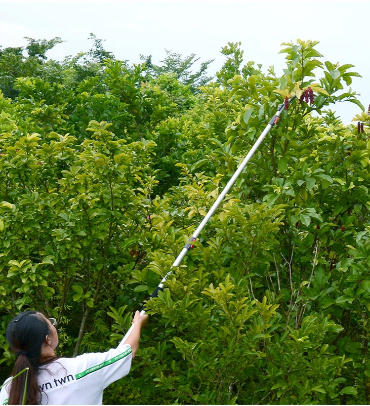 Tijeras de podar de árboles frutales, herramienta de poda de ramas altas, telescópica de jardín, 3 metros de altura mejorada