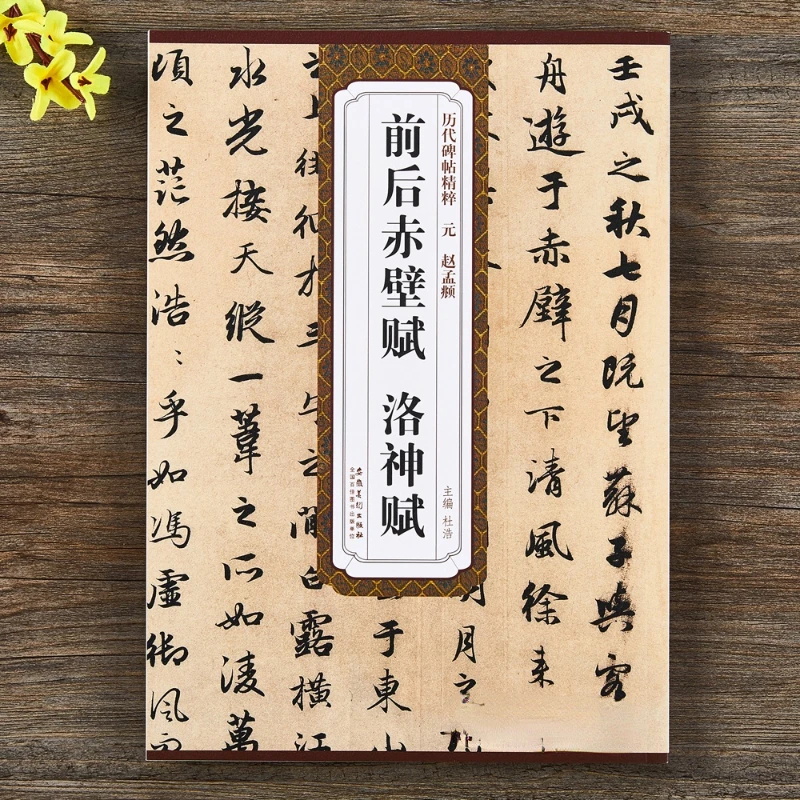 

Tao Te Ching Copybooks Zhao Mengfu Small Regular Script Brush Calligraphy Copybook Ouyang Xun Running Script Calligraphy Book