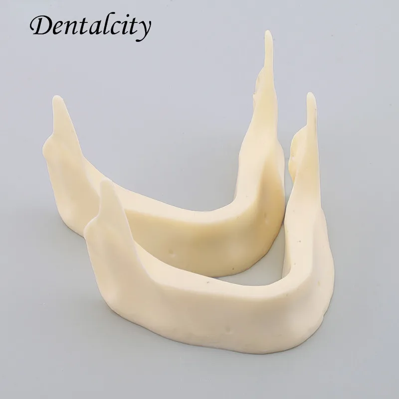 

2pcs Dental Model M2025 - The Development of Jaw Lower