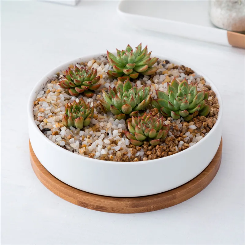 Minimalist White Ceramic Flowerpots with BambooTray Succulent Plant Rounded Desktop Pot Small Bonsai Pots Green Planters