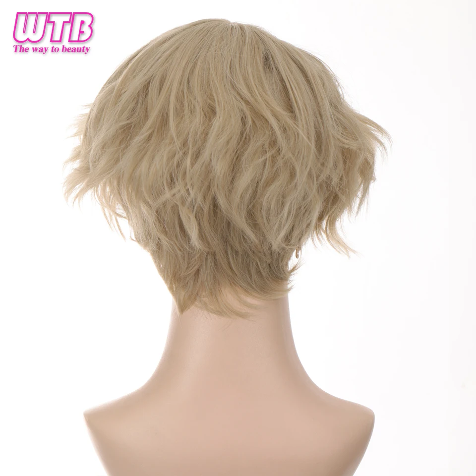 WTB Synthetic Short Curly Men\'s Wig Black Blonde Daily Use Wigs for Boy Halloween Cosplay Fake Wig Heat Resistant Fiber