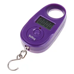 Portable electronic weighing 25kg mini pocket scale gram scales hanging scale luggage weighing fishing express scale