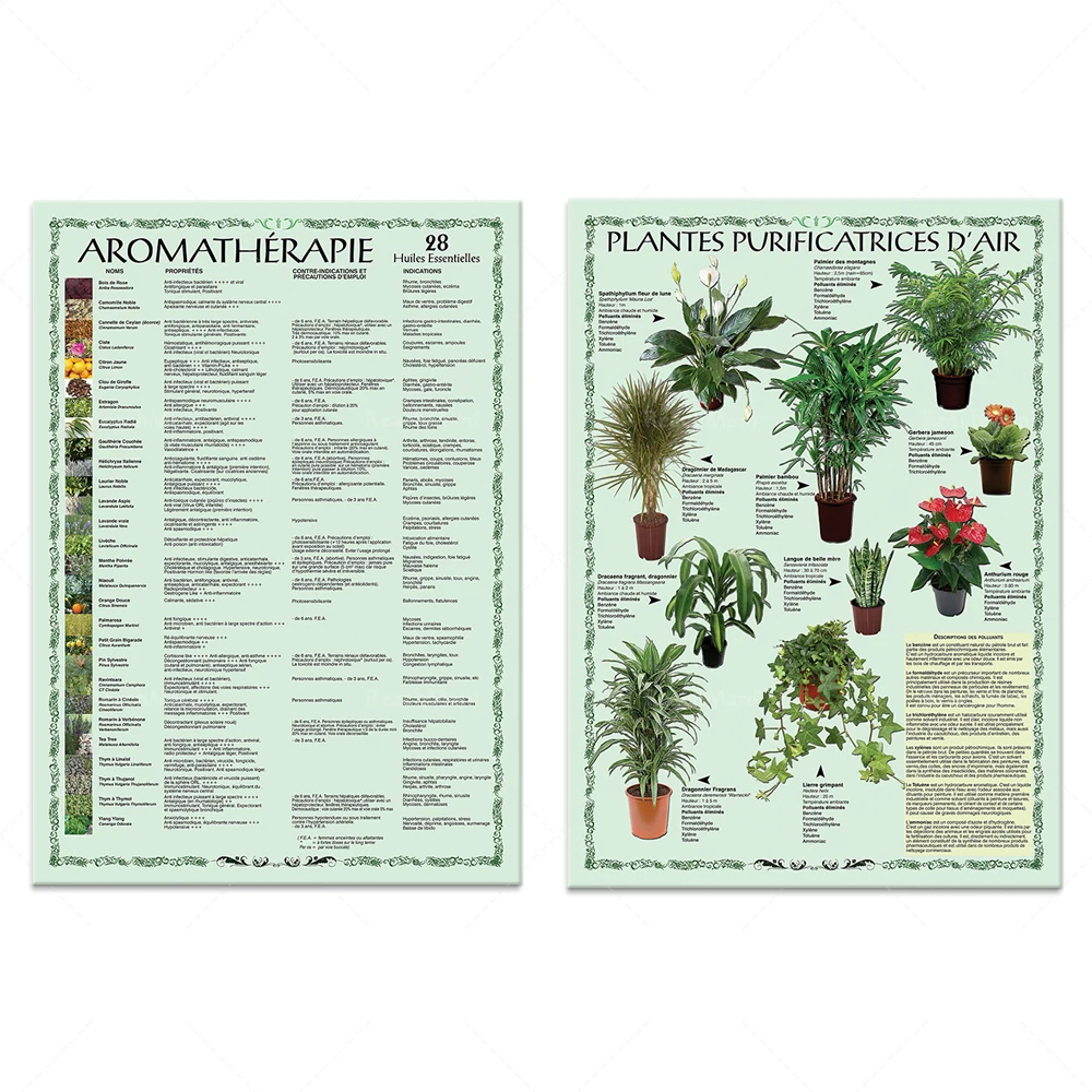 Aromatherapy - 28 Essential Oils Prints, Air Purifying Plants Art Poster Home Decor Print