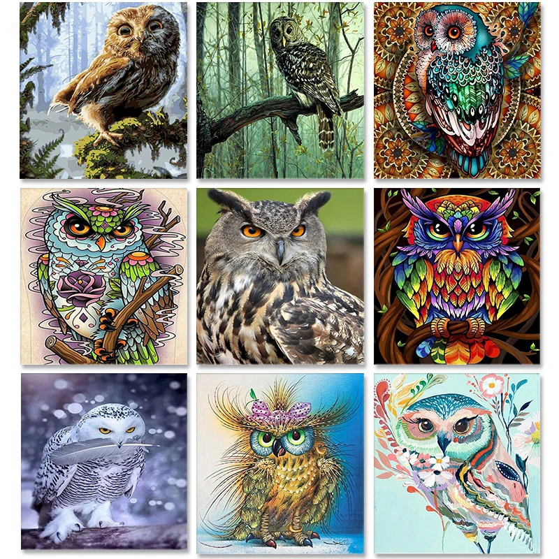 PhotoCustom Owl Paint By Numbers Animals DIY 40x50cm Oil Painting By Numbers On Canvas Frameless Digital Hand Painting Home Deco