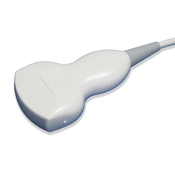 Black And White Ultrasound Scanner Single Probe