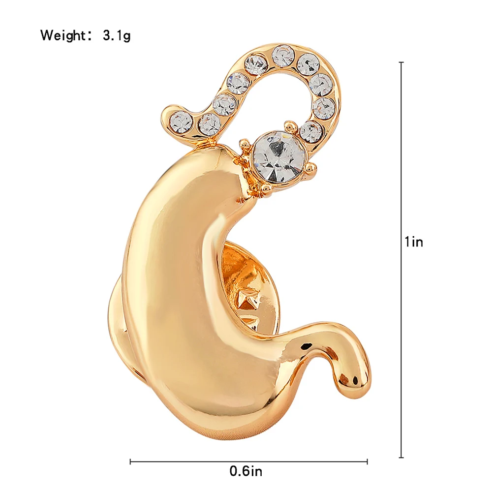 2 Color Anatomy Stomach Brooch Luxury Rhinestone Surgeon Medical Uniform Lapel Pins Doctor Cute Jewelry for Women Accessories image 6