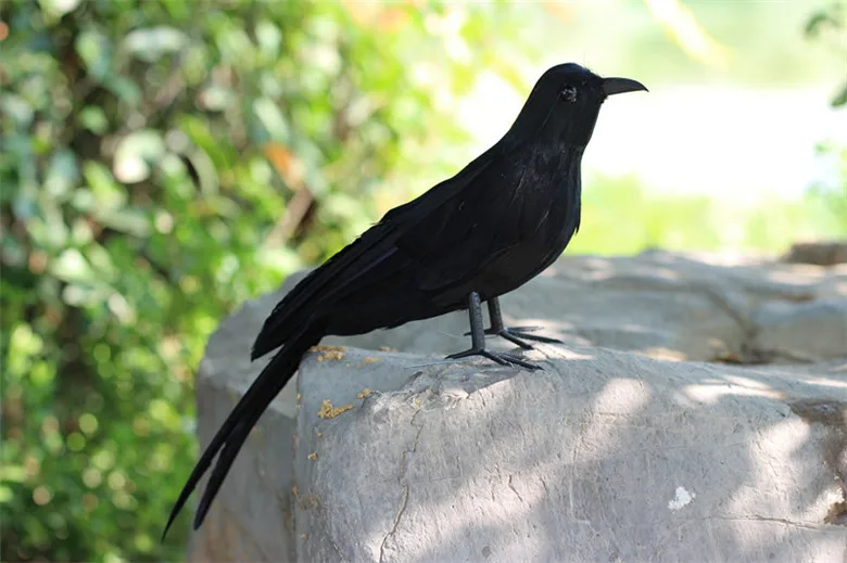 Halloween prop toy plastic foam & black feathers Crow bird  30cm Black Crow Handmade model toy,decoration gift w5621