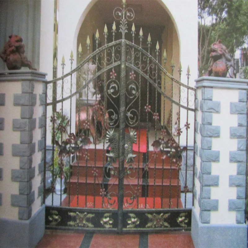 Conception de portes en fer forgé/portes fantaisie en fer pour maisons