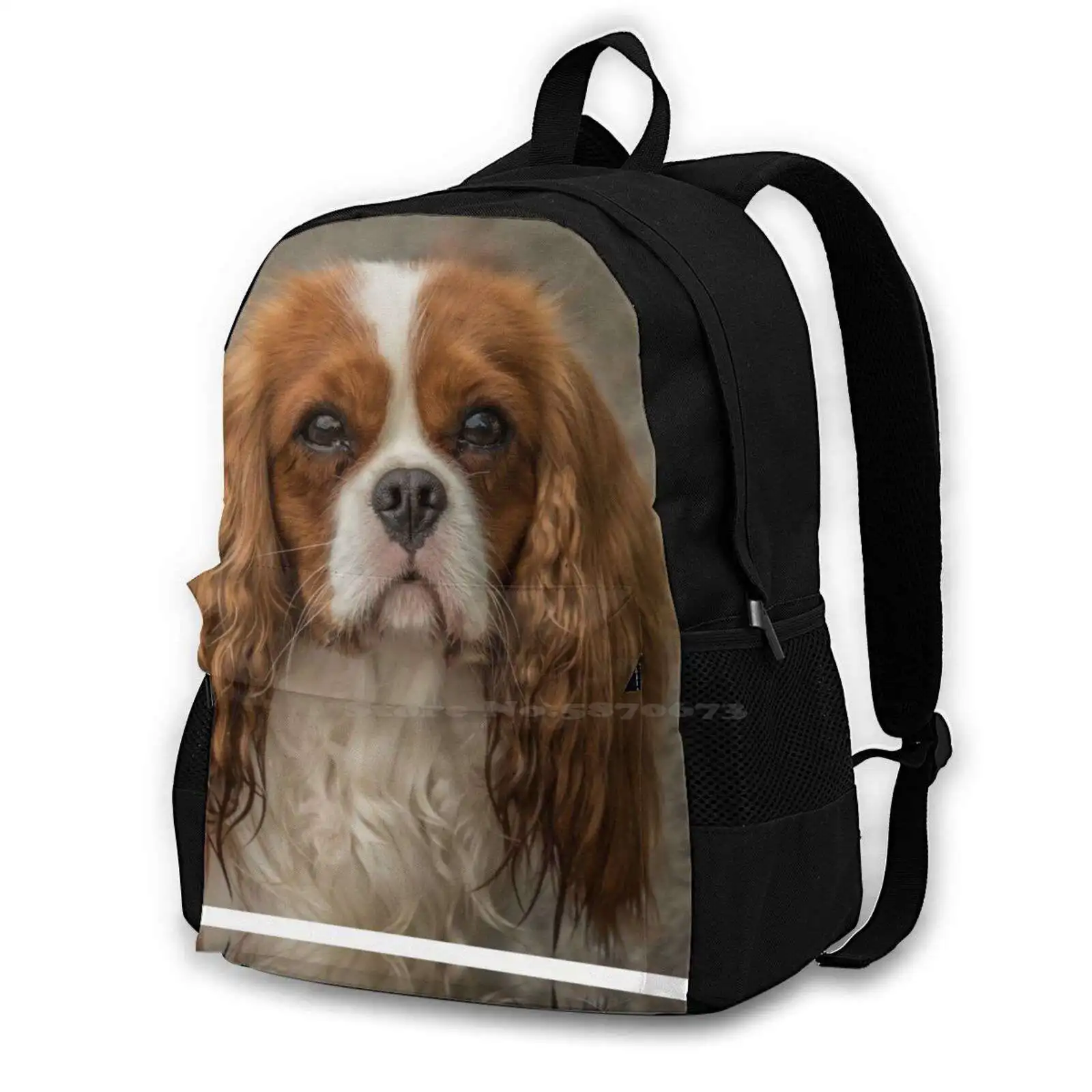 

Cavalier King Charles Spaniel Bag Backpack For Men Women Girls Teenage Dog Pet Cavalier King Charles Spaniel Staring At Camera