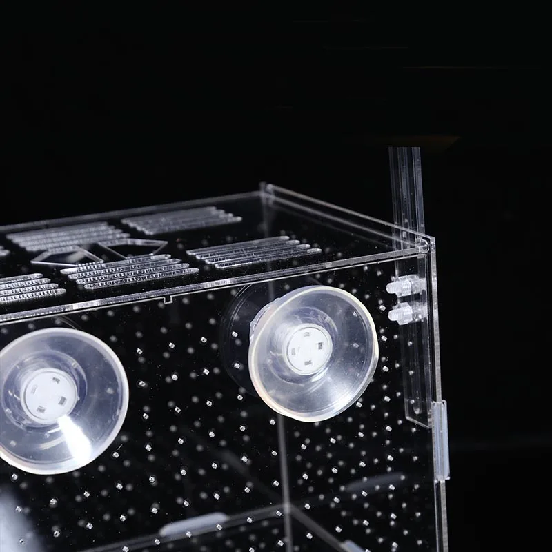 Acrylic Aquarium Box Small Fish Isolation Net Tropical Fish Breeding Box Production Box Fish Tank Aquarium Accessoories