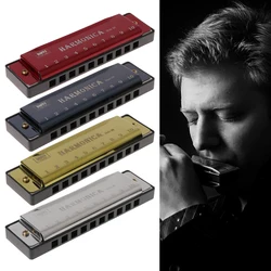 10 Holes Key of C Blues Harmonica Musical Instrument Educational  With Case Gift