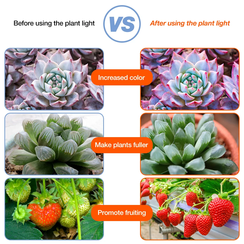 USB Full Spectrum Phytolamps Lamp LED Phyto Tape Lighting 5V Flexible Grow Light Strip Waterproof Plant Bulb Hydroponic Lamp SMD