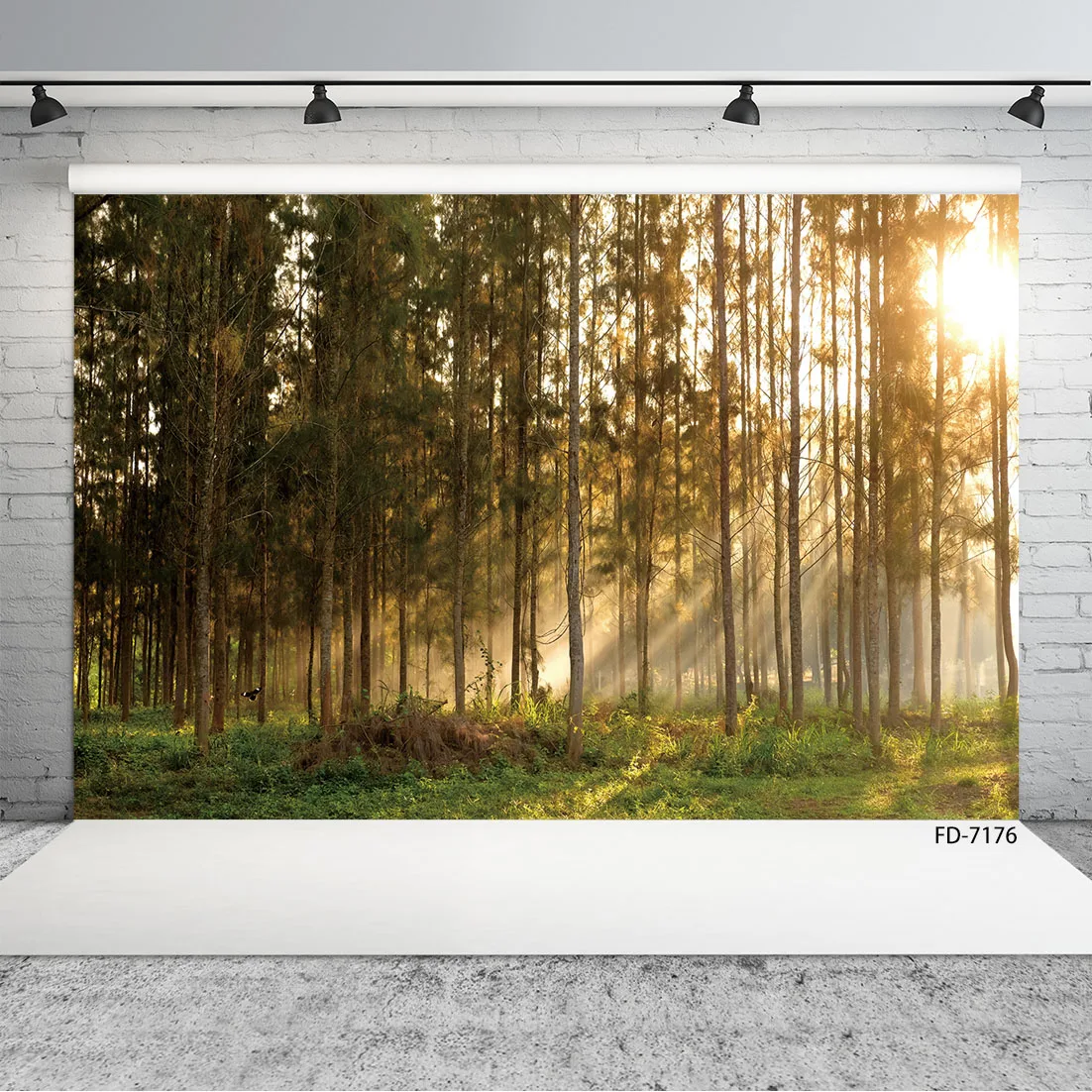Autumn Tree luce solare foresta fotografia sfondi fondali in vinile per bambini Baby Portrait Doll Pet Photocall Photo Studio