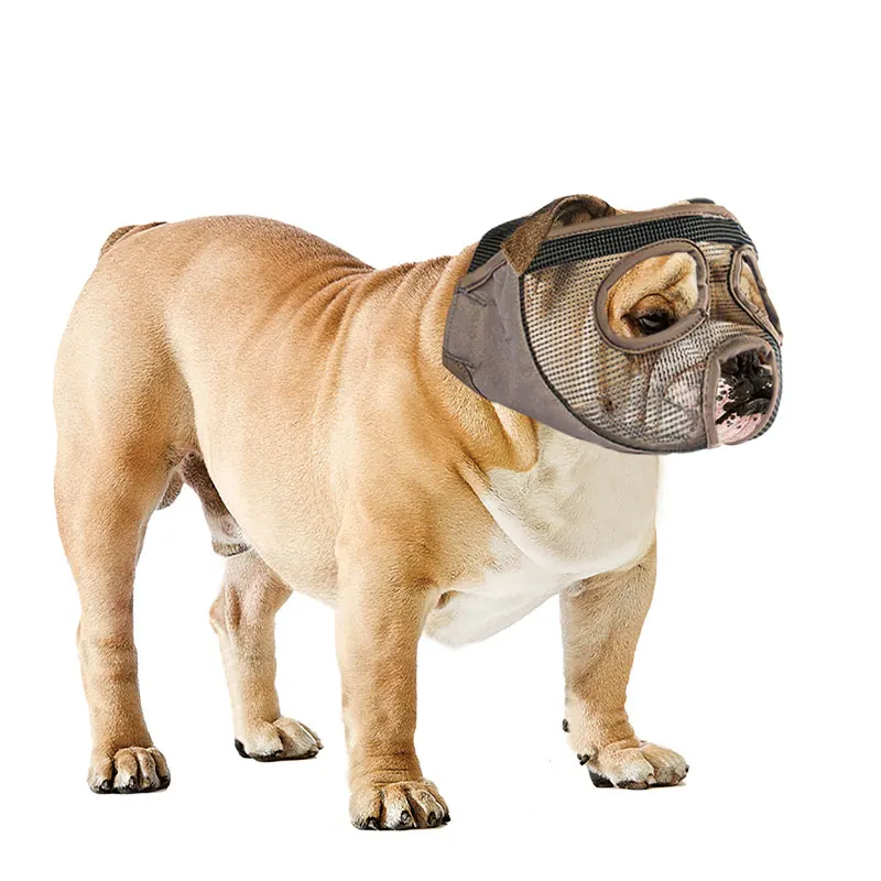 Thumbnail 2 - #26 Latest Dog Muzzles Offers