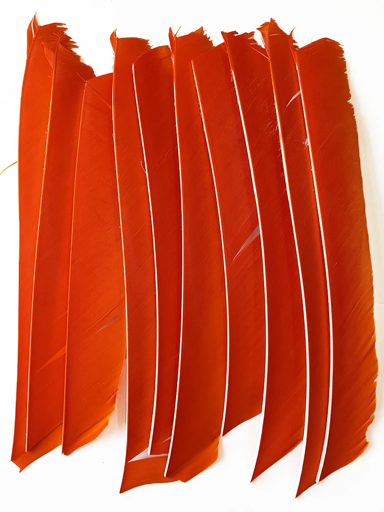 100PCS 18-25CM Volle Länge Türkei Pfeil Federn DIY Jagd Bogen Pfeil Zubehör Bogenschießen Befiederung Rechten flügel Flügel – Detail 10