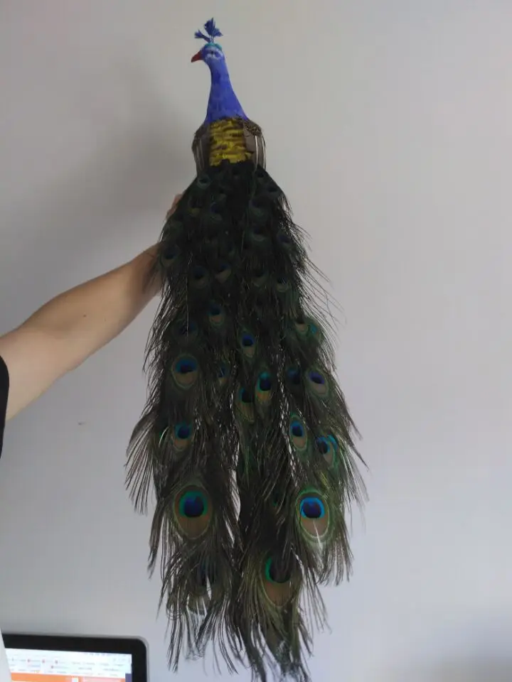 cute real life peacock model foam&feather beautiful peacock bird gift about 80cm d0041