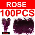 100 piezas de rosas