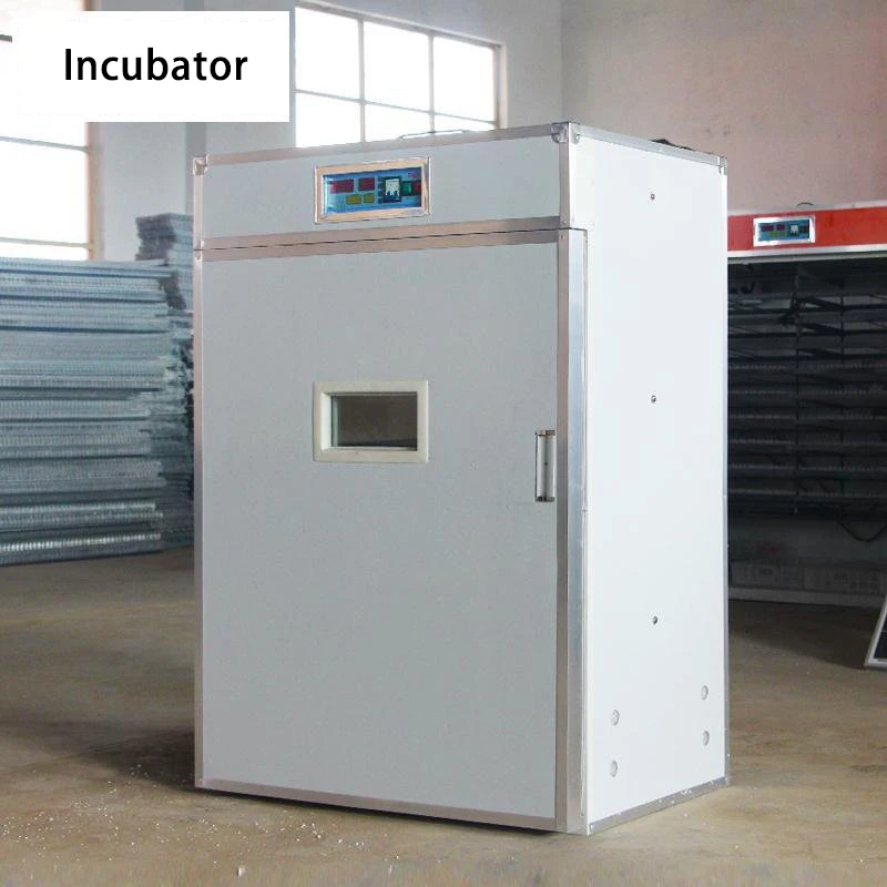 حاضنة البيض آلة حاضنة منزلية صغيرة أوتوماتيكية بالكامل درجة حرارة ثابتة معدات حاضنة ذكية