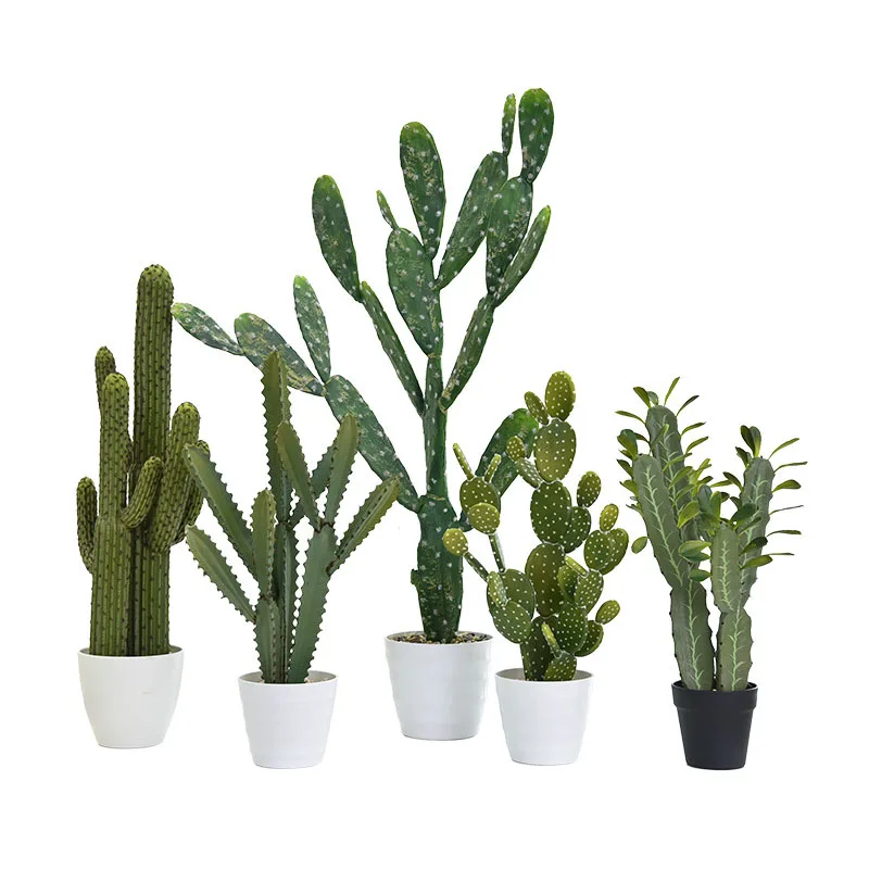 

Artificial Cactus for Home Decoration, Green Plant, Ornaments for Hotel, Garden Display, Northern Europe, Physical Store