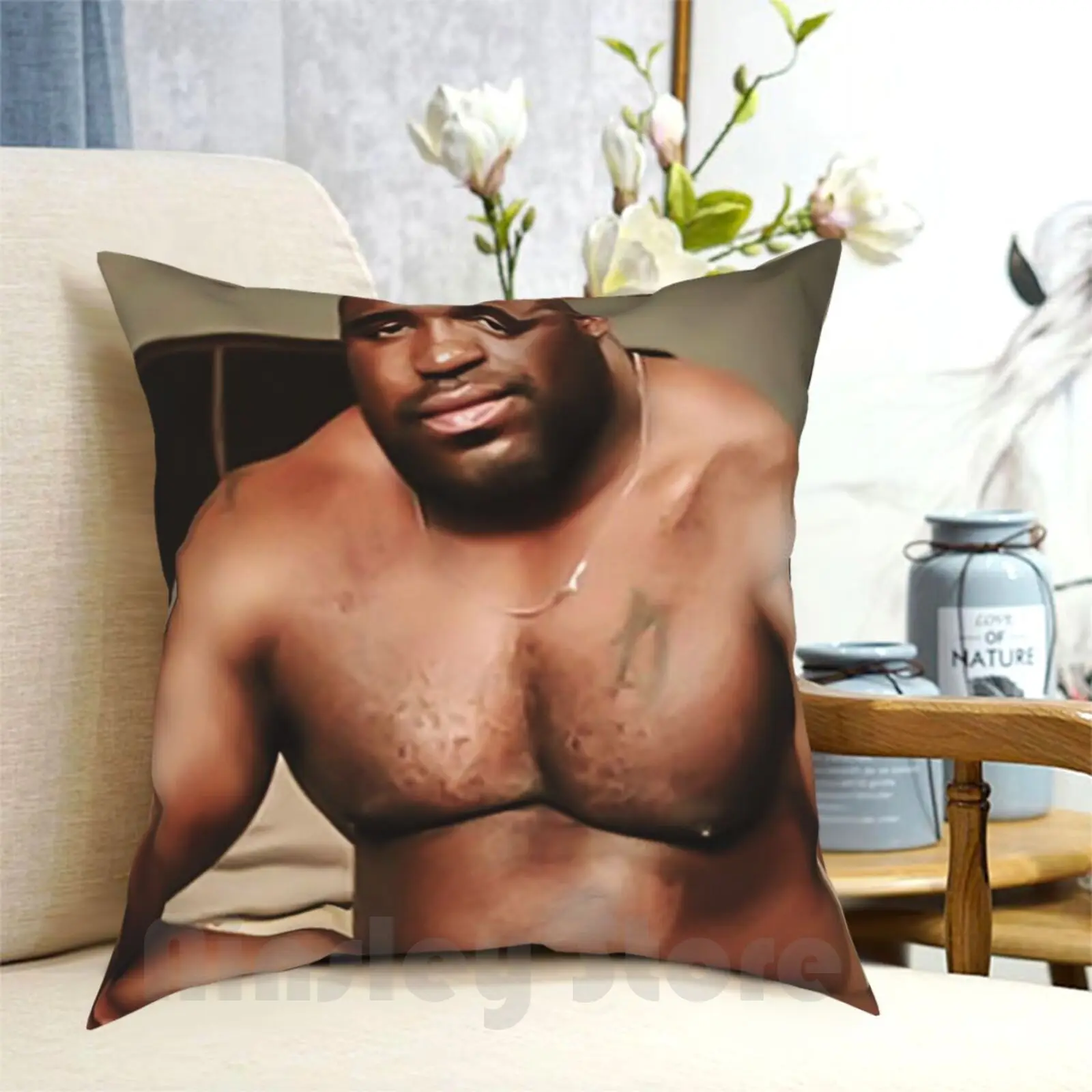 Barry Wood-Funny Meme Well Endowed Man Black Guy Dick Meme Design Art Pillow Case Printed Home Soft Throw Pillow Well