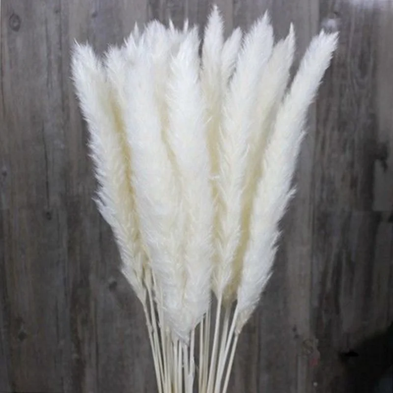 Natural Small Pampas Grass Flowers 15Pcs /Lot Wedding Home Decoration Articles Primary colors, pink, white