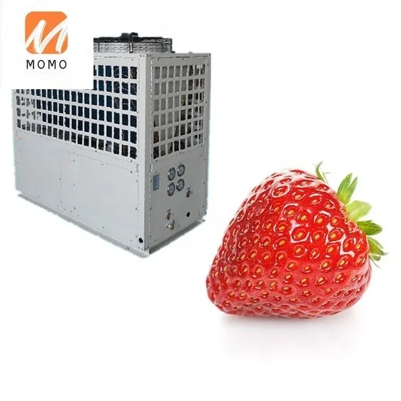 29KW  large glass agricultural greenhouses heater for better growth of strawberry tomato seed for greenhouse