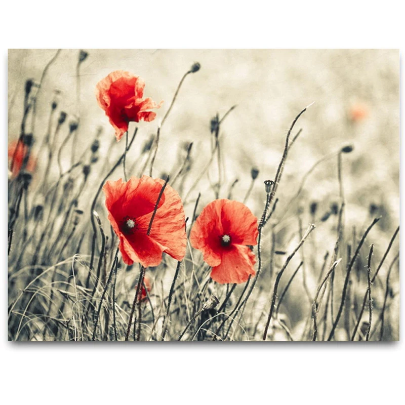 5D Diy diamond painting 3d Red poppy flowers cross stitch kits full diamond embroidery pictures by number Wedding decoration